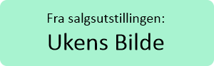 Klikk her for å se ukens bilde
